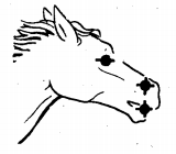 Накшатра #1: Ашвини.
 Символ: Голова лошади.
 Перевод названия: Всадники или конюхи.
 Дэвата: Ашвини Кумары.
 Характер: легкая.
 Упр. по ВД: Кету (Кету).
 Тиб. эл-т: ветер.